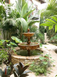 an outdoor fountain surrounded by plants and trees