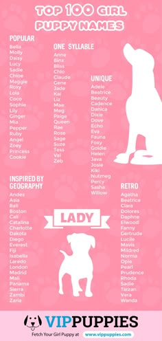 the top 10 dog names for puppies