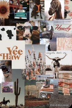 a collage of pictures with animals, flowers, and other things in them that say yee haw