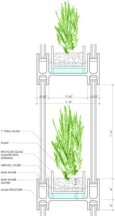 the diagram shows an arrangement of plants in a planter, with measurements for each section