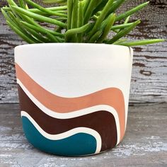 a potted plant sitting on top of a wooden table