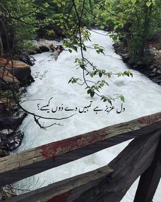 there is a wooden bridge that has writing on it in the middle of some water