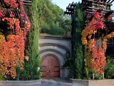 an entrance to a building covered in vines and flowers