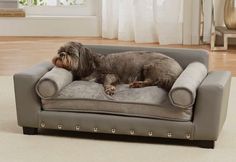 a dog laying on top of a couch in a living room