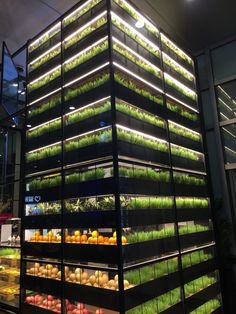 an indoor vegetable garden is lit up at night