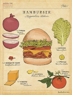 a hamburger with all the ingredients to make it and how to use it for cooking