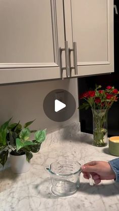 a person is mixing something in a bowl on the kitchen counter with flowers and plants