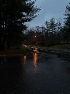 the street is wet and it's raining at night with no one on it