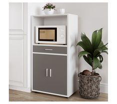 a microwave oven sitting on top of a cabinet next to a potted plant