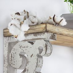 cotton floss are sitting on top of an old wooden shelf next to a potted plant