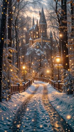 a snowy path leading to a castle with lights on the trees and snow covered ground