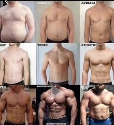 Mens Body Types Drawing, Average Male Body Reference, Masculine Body Types, Different Male Body Types, Body Description Writing, Male Body Types Reference, Average Body Type, Body Types Men, Muscular Body Men