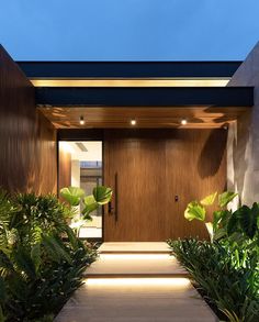 an entrance to a modern home with plants and lights on the walkway leading up to it