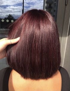 Short Dark Red Hair Burgundy, Burgundy Hair Short, Wine Brown Hair, Single Color Hair, Short Dark Red Hair, Burgundy Short Hair, Burgundy Hair Color Ideas, Short Burgundy Hair