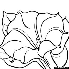 a black and white drawing of a flower