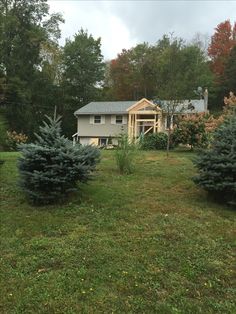 a house in the middle of some trees and grass with one tree on the other side