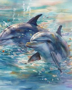 two dolphins are swimming in the water