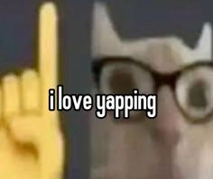 a cat wearing glasses and pointing to the camera with an i love yapping sign in front of it