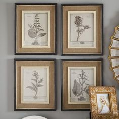 four framed botanical prints hang on the wall above a dresser with an ornate mirror and vase