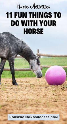 a horse standing next to a pink ball on top of a dirt field with text overlay that reads, horse activities 11 fun things to do with your horse