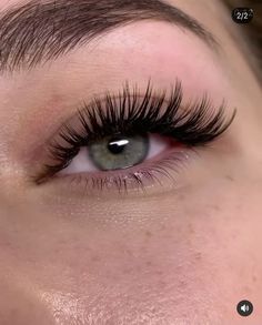 Pretty Lashes