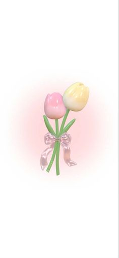 two pink and yellow tulips with a bow on the end, against a white background