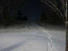 there is a trail in the snow at night