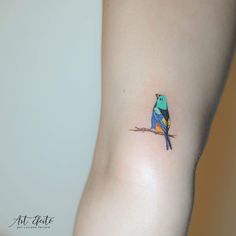 a small blue and yellow bird tattoo on the arm