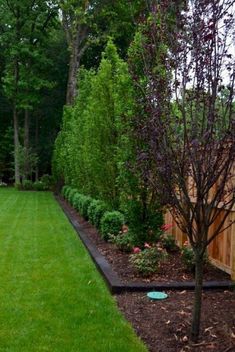 a yard with green grass and trees in it