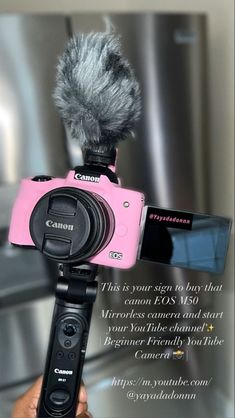 a camera with a microphone attached to it