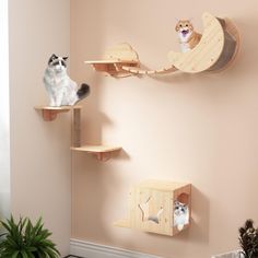 two cats sitting on top of wooden shelves in the shape of moon and cat houses