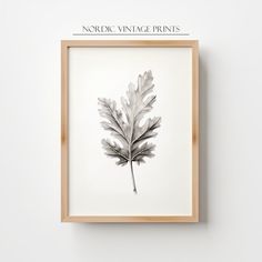 a black and white photo of a leaf in a frame with the words nordic vintage prints above it