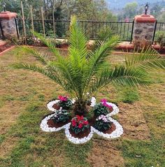 a potted palm tree sitting in the middle of a lawn with flowers around it