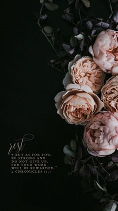 some pink flowers and leaves on a black background