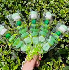 green and white candies in plastic wrappers on top of bushes with leaves around them