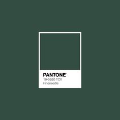 pantone's green paint is shown with the words pantonee on it