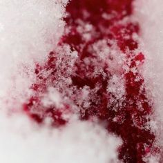 the snow is white and red with little flecks on it's surface