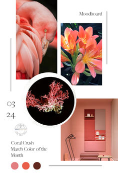 the color scheme for this room is peach and pink, with an image of a flamingo