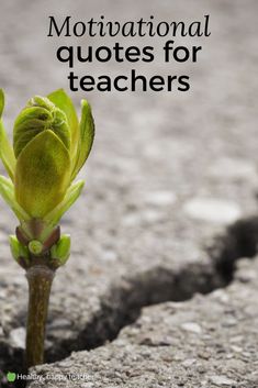 a close up of a flower with the words motivational quotes for teachers