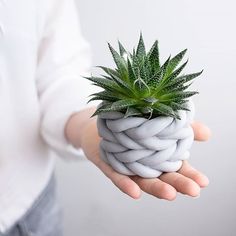 a person holding a potted plant in their hands with rope wrapped around the top