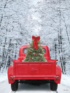 a red truck with a christmas tree in the back