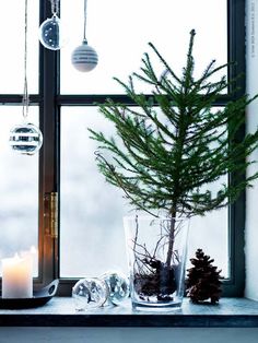 a small pine tree in a glass vase next to a lit candle and ornaments on a window sill