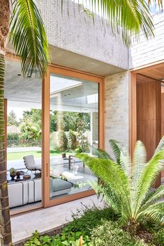 an outdoor living area with palm trees and plants in the foreground, surrounded by glass doors