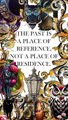 an image of a poster with owls and skulls on it that says, the past is a place of reference not a place of residence