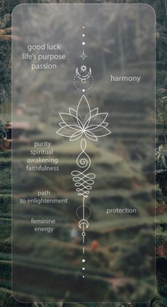 the seven chakras are shown in this graphic above them is an image of trees and grass