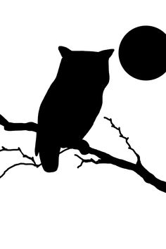 an owl sitting on top of a tree branch next to a ball in the sky