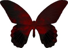 a red and black butterfly flying in the air with its wings spread out to look like it