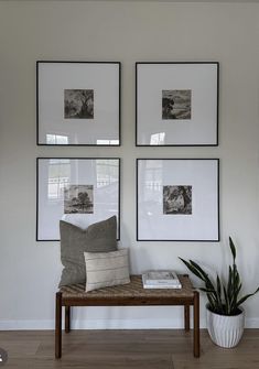 three framed pictures hang on the wall above a bench with a plant in front of it