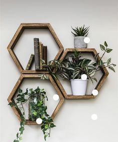 three hexagonal shelves with plants and books on them, one is filled with houseplants