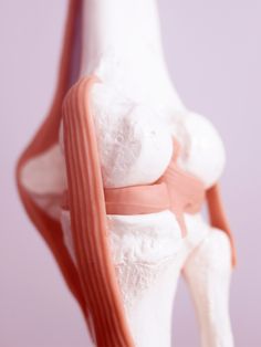 31 Best ACL Strengthening Exercises After ACL Surgery - Katie E Good Tibial Plateau Fracture, Knee Exercises, Knee Surgery, Strengthening Exercises, Recovery Workout